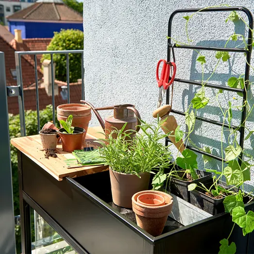 Juliana Urban Vertical minidrivhus sort med hærdet glas