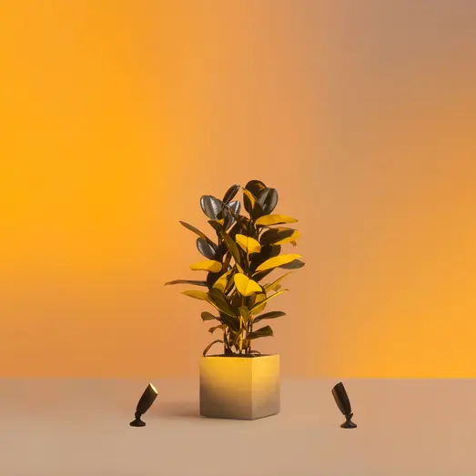 Philips WiZ udendørs bedlamper spot startsæt 10W sort