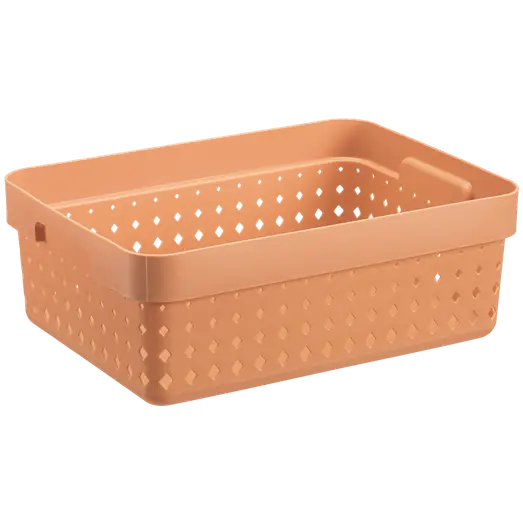 Seoul basket melon