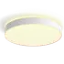 Philips Hue Enrave XL plafond Ø55,1 cm 48W hvid