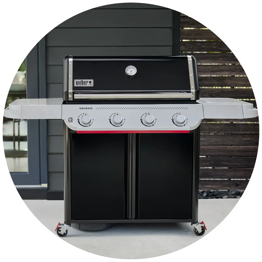 Weber Genesis