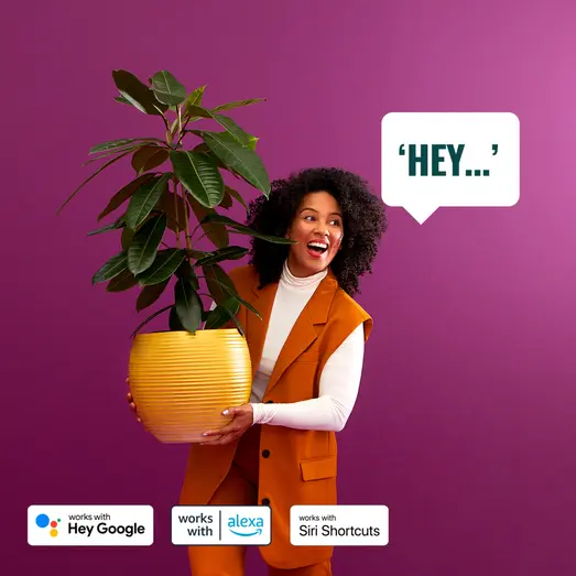 Philips WiZ udendørs bedlamper spot startsæt 10W sort