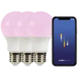 Nordlux smart pære colour LED E27 A60 8W RGB 3 pak