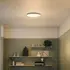 Philips Wawel plafond 17W hvid