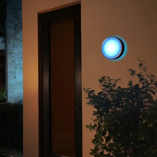Philips Hue Daylo udendørs væglampe 15W sort