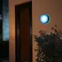 Philips Hue Daylo udendørs væglampe 15W sort