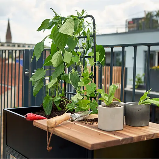 Juliana Urban Vertical minidrivhus sort med hærdet glas