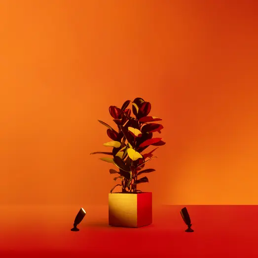 Philips WiZ udendørs bedlamper spot startsæt 10W sort