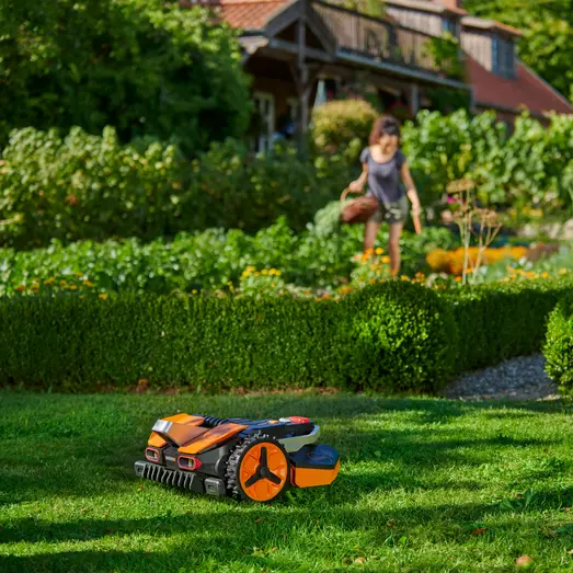 Worx Vision WR208E robotplæneklipper 800 m2 - OBS Mindre skader på emballagen