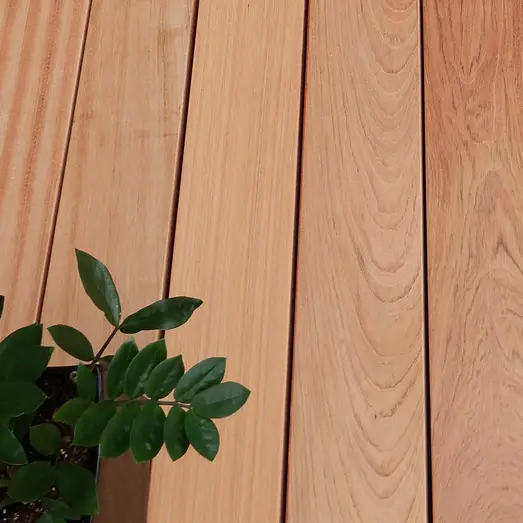 Jatobo terrassebrædder 21x145 mm