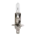 Autopære H1 12V - 55W