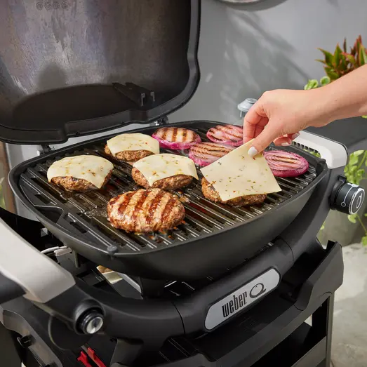 Weber Q1200N gasgrill med stander