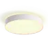 Philips Hue Enrave L plafond Ø42,5 cm 33,5W hvid