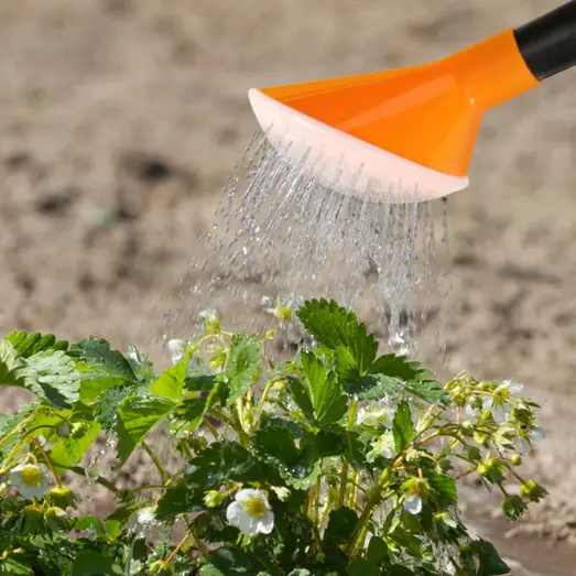 HOME It® brusehoved til vandkande 10 liter