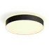 Philips Hue Enrave L plafond Ø42,5 cm 33,5W sort