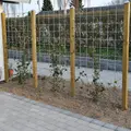Hortus rio-net espalier inkl. beslag 90x120 cm