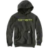 Carhartt rain defender graphic sweatshirt mørk grøn