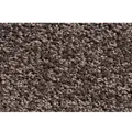 Clean Carpet CC-500 dørmåtte 80x120 cm brun