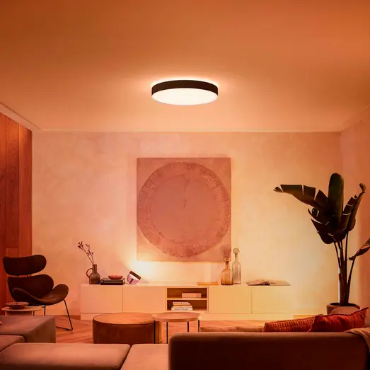 Philips Hue Enrave XL plafond Ø55,1 cm 48W sort