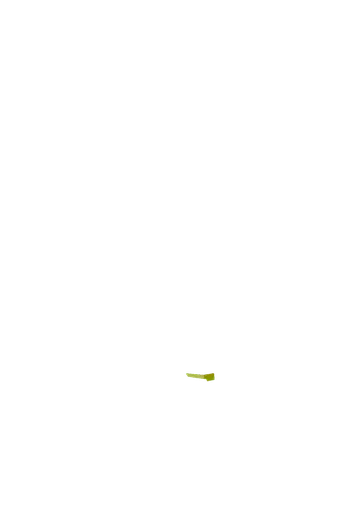 Ryobi R18SW3-0 fejemaskine 18V ONE+ solo