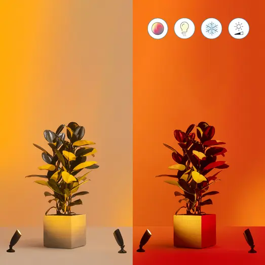 Philips WiZ udendørs bedlamper spot startsæt 10W sort