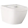 Grohe Euro Ceramic toilet