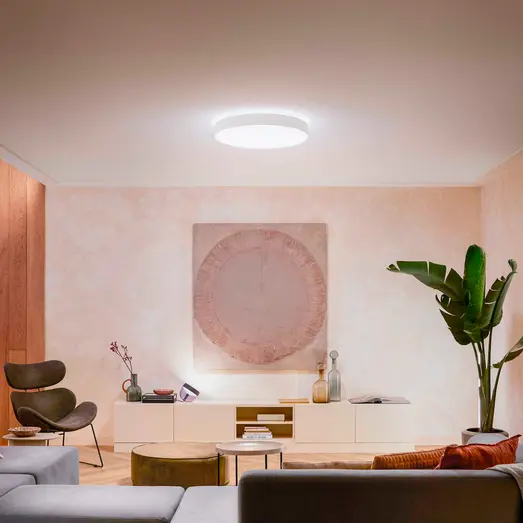 Philips Hue Enrave XL plafond Ø55,1 cm 48W hvid