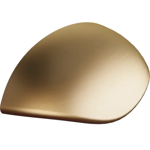 Scanbad Shell bøjlegreb 8,7x3,3x2 cm messing