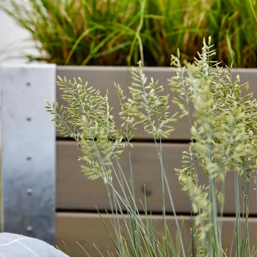 Cubic Blomsterkasse med hjul 120x50 cm gråbrun