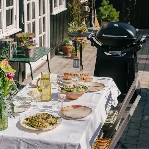 Weber® Q3200N+ gasgrill inkl. vogn