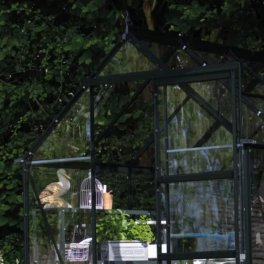 Halls ICON 6 drivhus