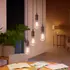 Philips Hue LED edison pære E27 7W ST72 filament hvid ambiente