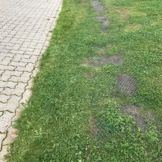 Expo-Net kyllingenet 10 m grøn