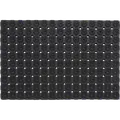 Clean Carpet Pico ringmåtte 40x60 cm sort