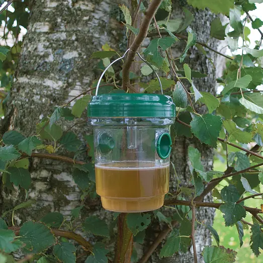 Hvepsefælde solar/LED 2 stk.