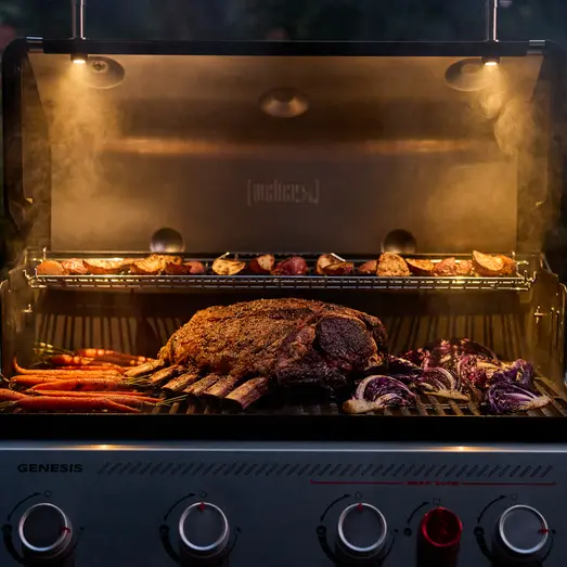 Weber® Genesis® EP-435W Gasgrill