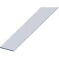 Roliba fladprofil 2x25 mm