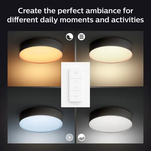 Philips Hue Enrave XL plafond Ø55,1 cm 48W sort