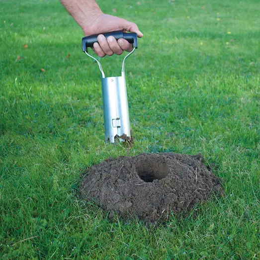 Hulbor T/Mosegrisefælde