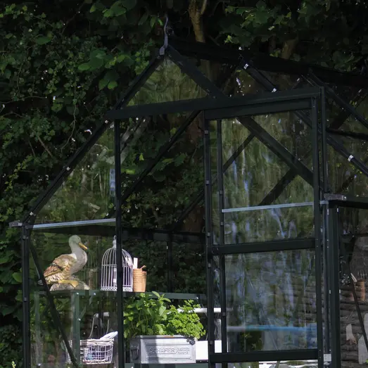 Halls ICON 6 drivhus 4,9 m² (6'x8') sort m/3 mm hærdet glas