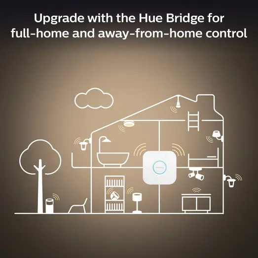 Philips Hue Enrave M plafond Ø38,1 cm 19,2W hvid