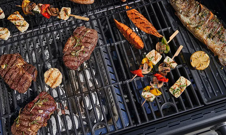 Char-Broil Gas2Coal