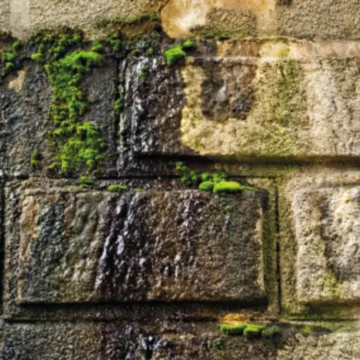 Rodalon udendørs grøn