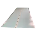 Termotagplade klar 10x1037x3000 mm 2-lags