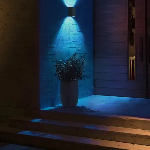 Philips Hue Resonate udendørs væglampe sort