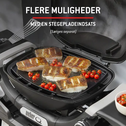 Weber® Q1200N gasgrill