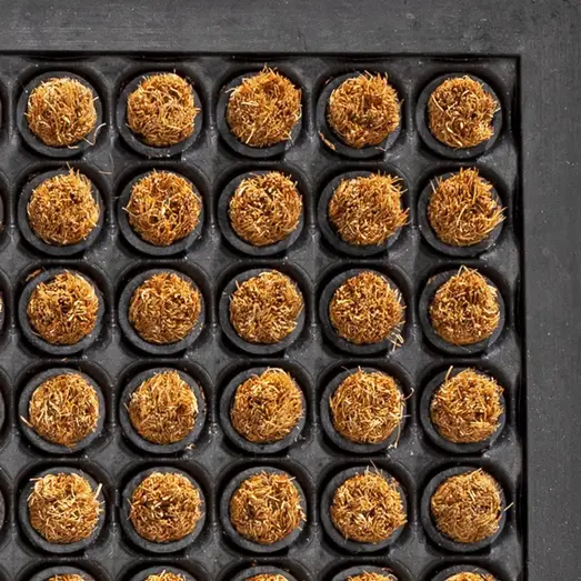 Clean Carpet Rubco dots kokos/gummimåtte 40 × 60 cm