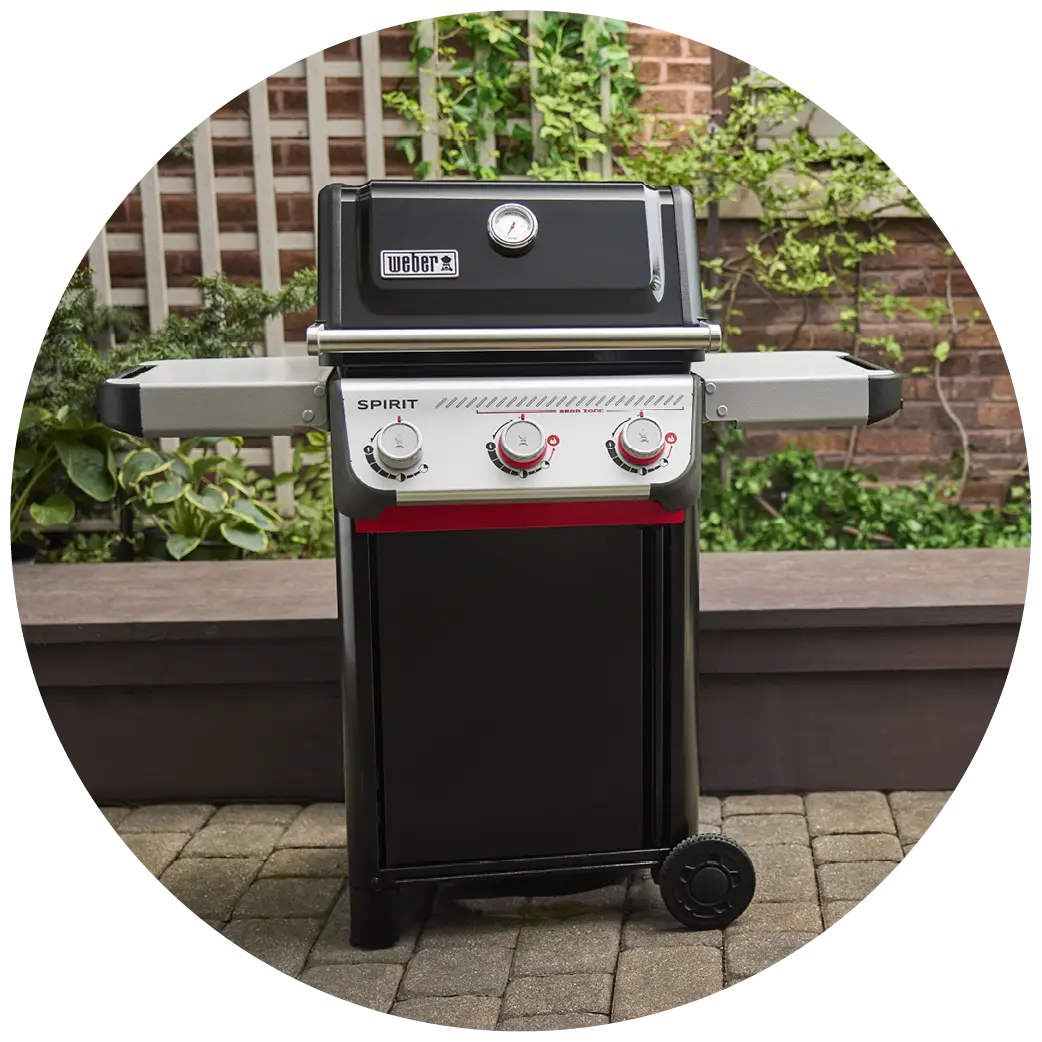 Weber Spirit serie