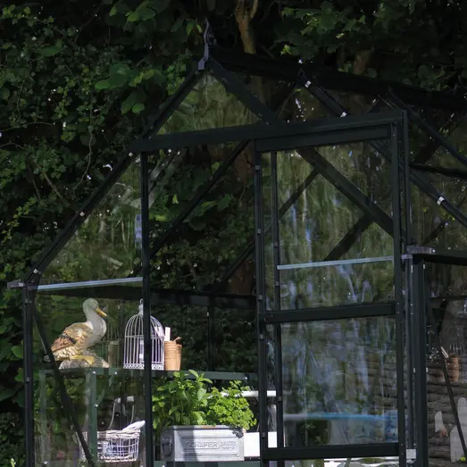 Halls ICON 6 drivhus 4,9 m² (6'x8') sort m/3 mm delt glas