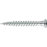 Paslode CSW beslagskrue 5,0x50 mm TX20 elgalv. 250 stk